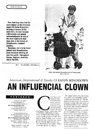 Influencial Clown